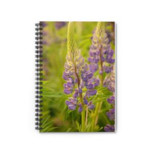 Spiral Notebook - Ruled Line