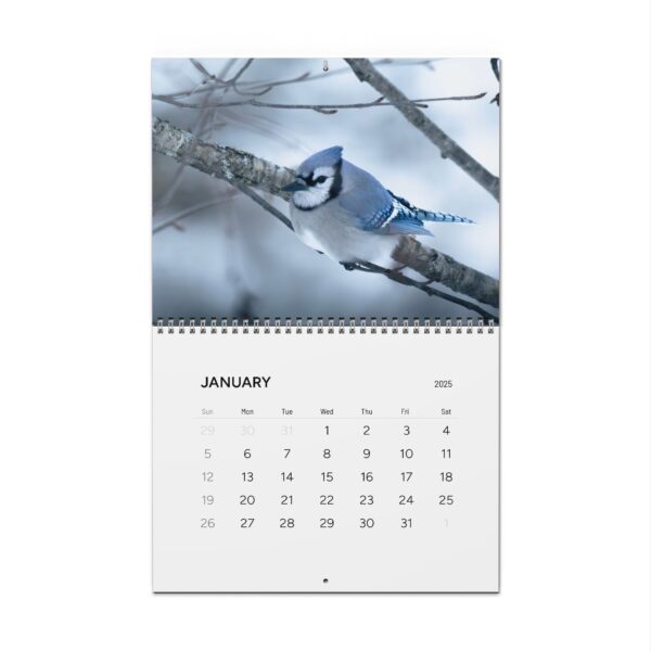 Nature-Inspired Wall Calendar 2025 - Monthly Bird and Landscape Prints - Image 6