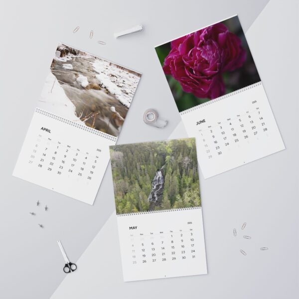 Nature-Inspired Wall Calendar 2025 - Monthly Bird and Landscape Prints - Image 3