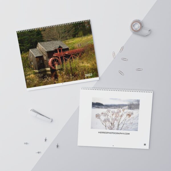 Nature-Inspired Wall Calendar 2025 - Monthly Bird and Landscape Prints - Image 7