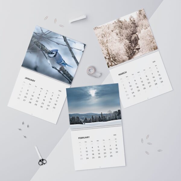 Nature-Inspired Wall Calendar 2025 - Monthly Bird and Landscape Prints - Image 2