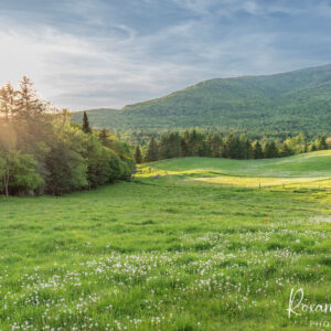 Farm Field NH