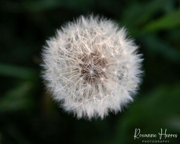 Before A Breeze