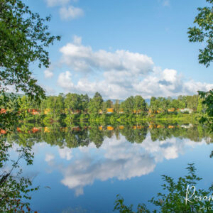 Reflection
