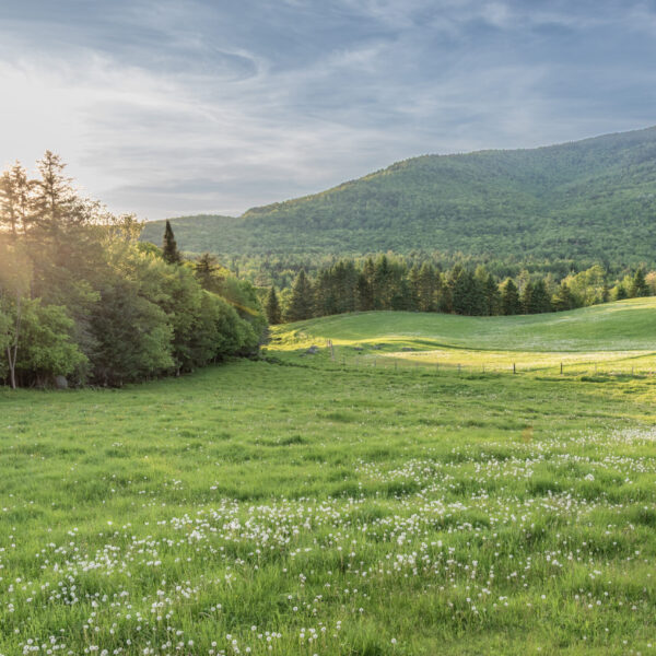 Farm Field NH
