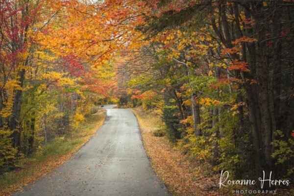 Autumn Backroads in NH