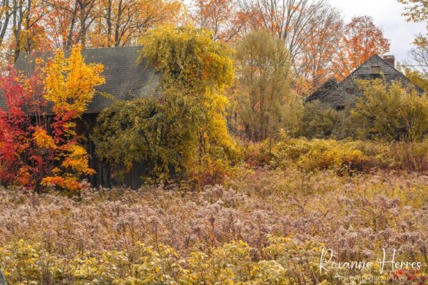 Abandoned Rustic Buildings & Fall Foliage