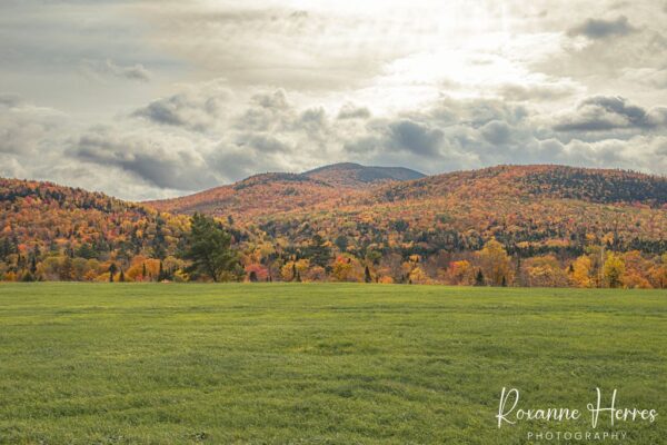 Autumn Stormy Sky & Foliage