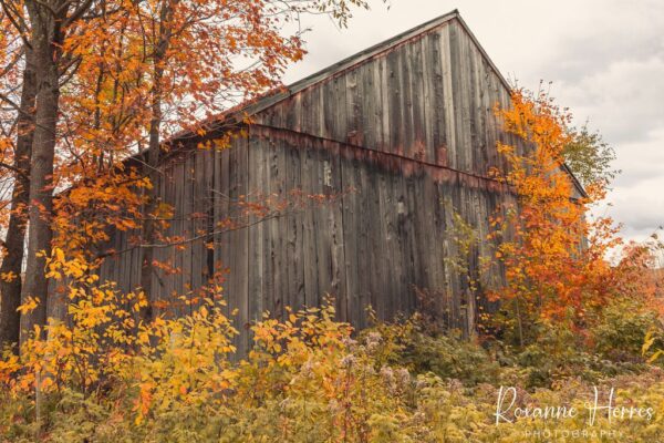 Rustic Barn VT