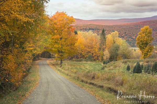 Autumn Mountains & Backroad