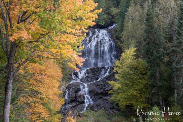 Beaver Brook Falls Autumn