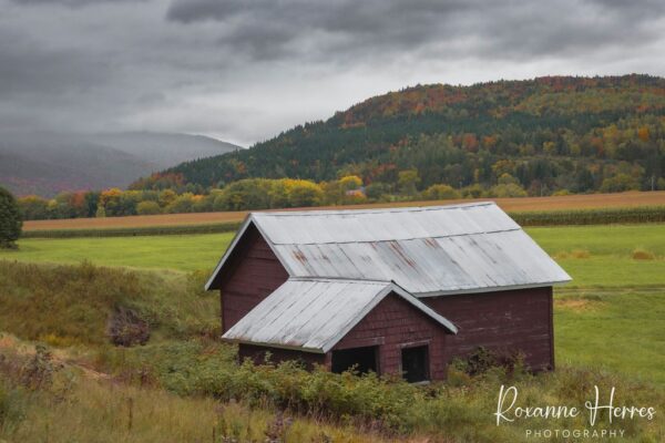 Autumn Landscape and Barns