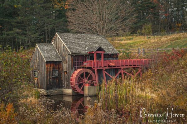 Water Wheel Building