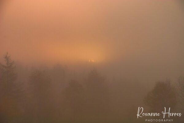 Moody Autumn Sunrise