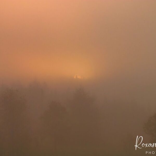 Moody Autumn Sunrise