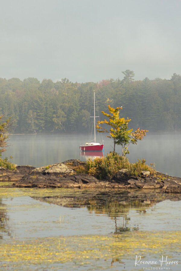 Foggy Autumn Lake Scene