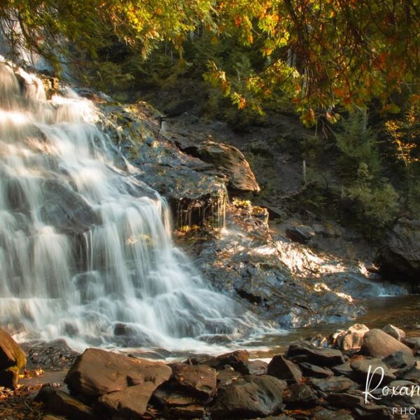 Lower Falls Autumn