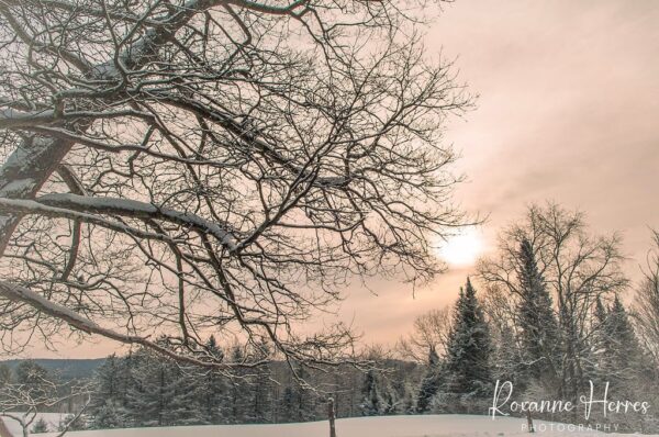 Warm Sunrise