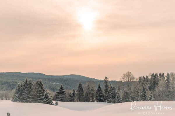 Fresh Snow in VT Warmer Tones