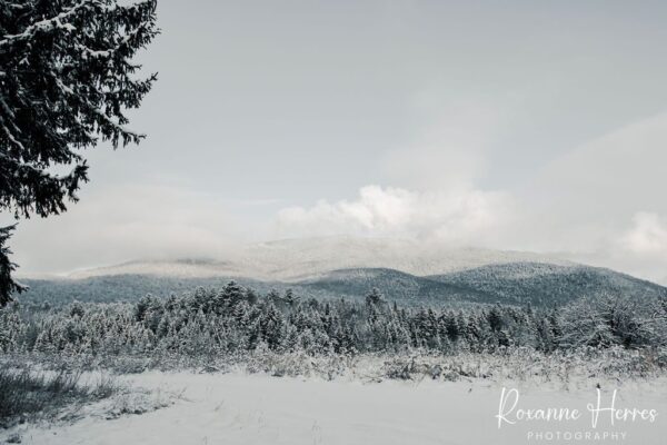 Fresh Snow NH