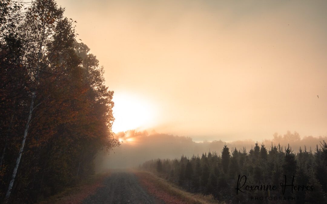 Looking Ahead to 2026: Plans and Direction for My Photography in New Hampshire