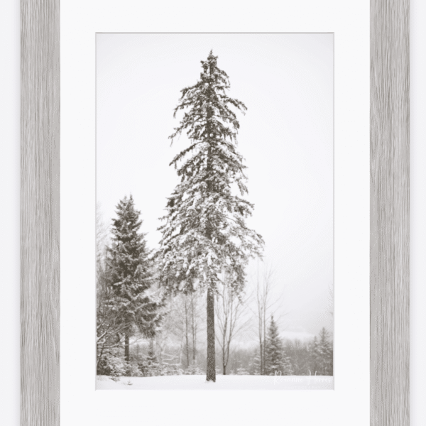 12x18 Rustic Framed Print