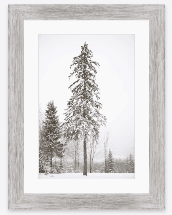 12x18 Rustic Framed Print