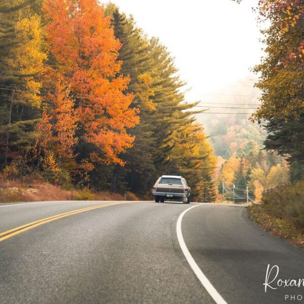 Autumn in the Great North Woods, NH