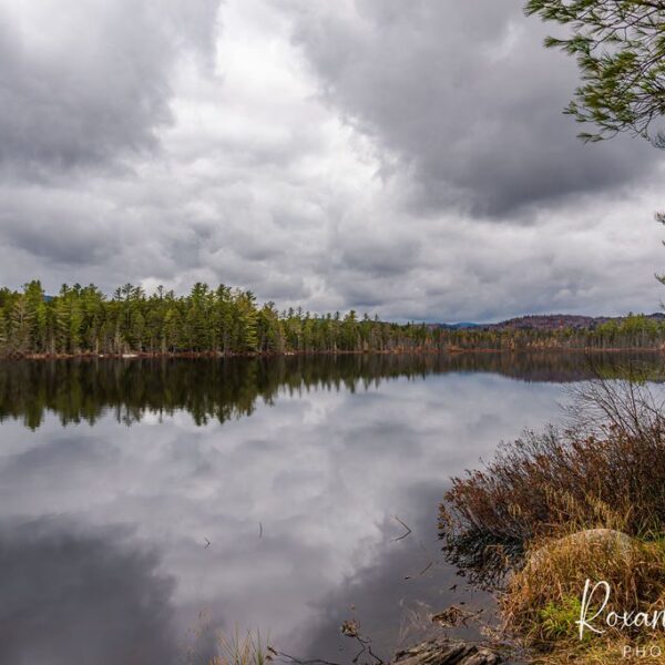 Pond Reflection photo by Roxanne Herres