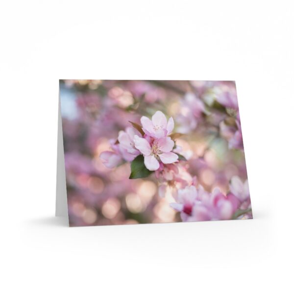 Crabapple Sun Bokeh Greeting Cards — Pack of 8/16/24