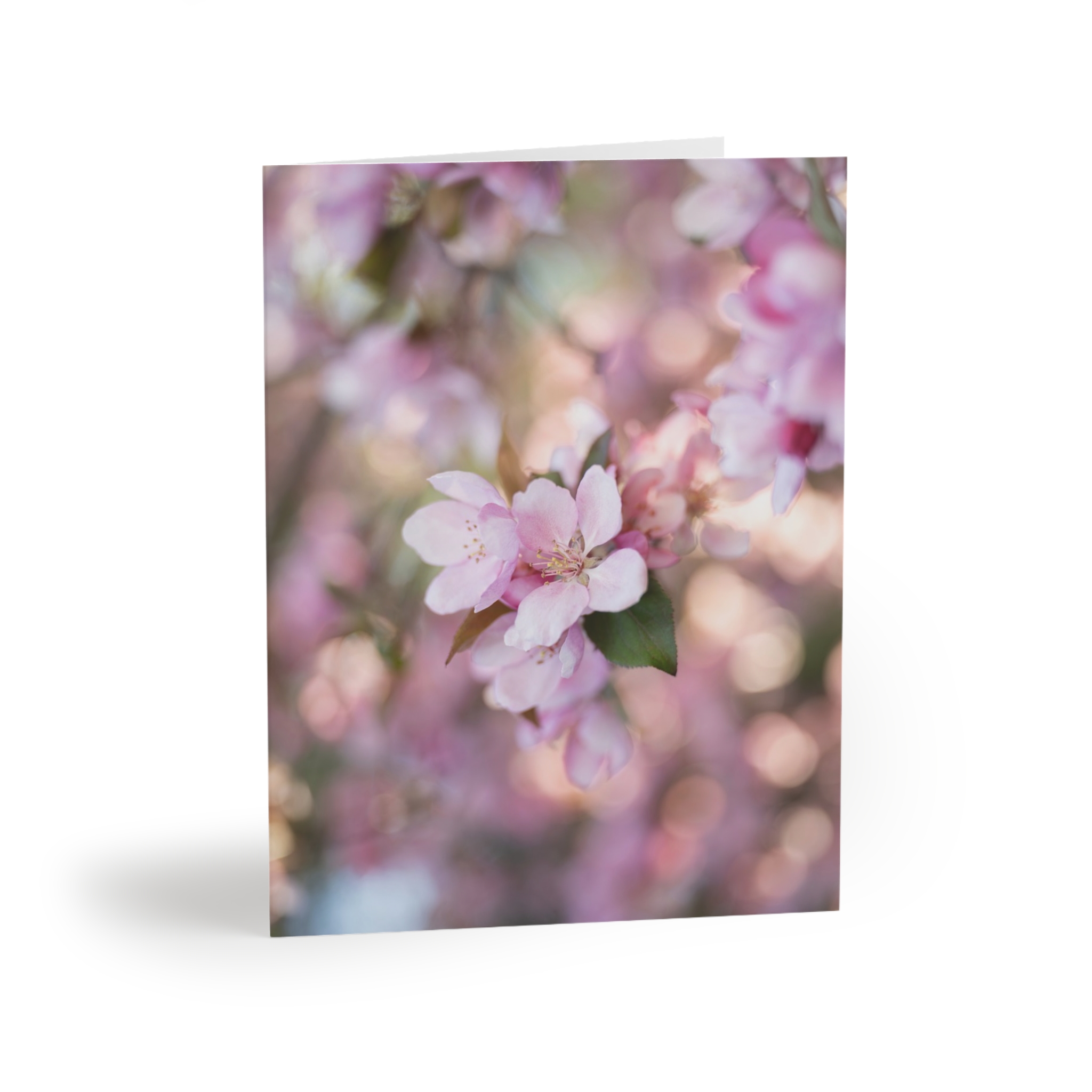 Crabapple Sun Bokeh Greeting Cards — Pack of 8/16/24 - Image 5