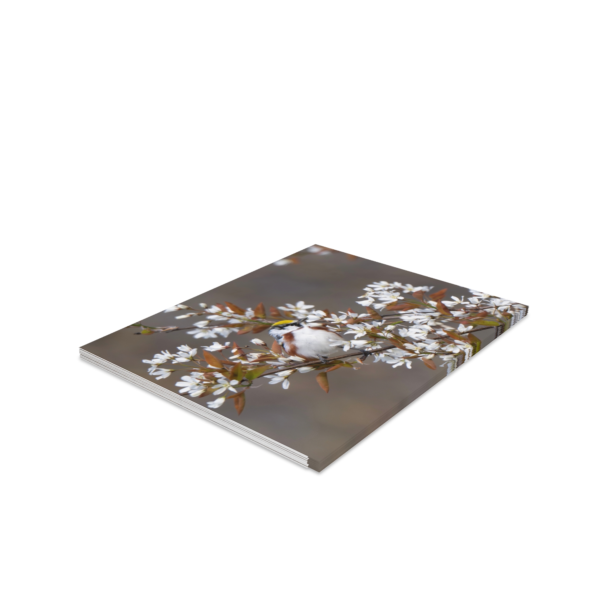 Photo Card Blossoms & Bird — Greeting Cards (8/16/24 Pack) - Image 2