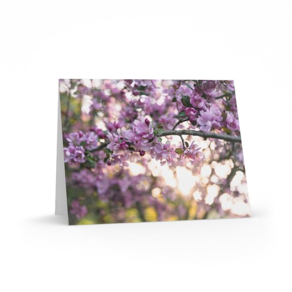 Crabapple Tree & Sun Bokeh Greeting Cards — Set of 8/16/24