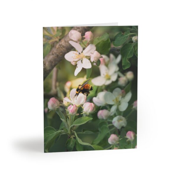 Bee on Apple Blossoms Greeting Cards — Pack of 8/16/24