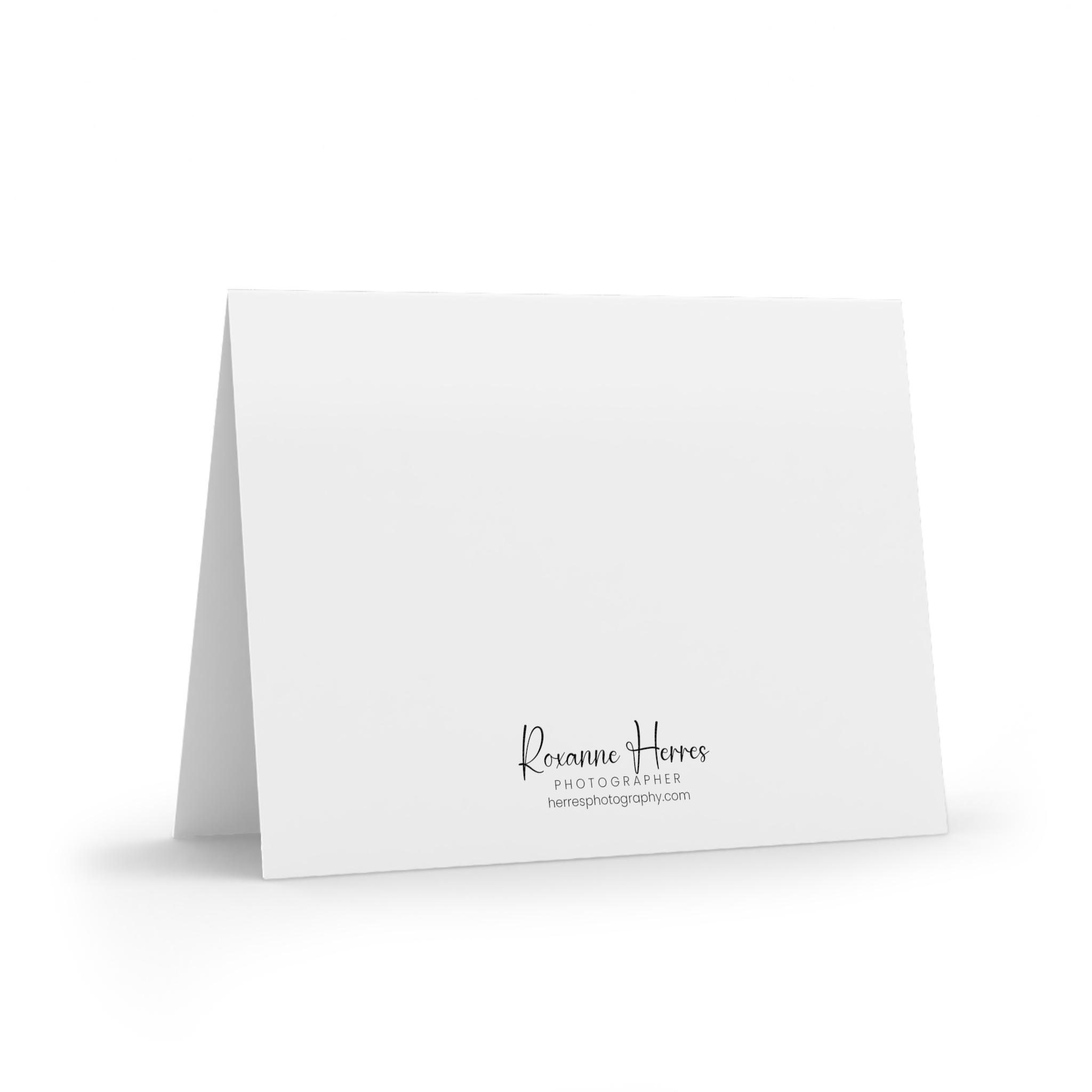 Photo Card Blossoms & Bird — Greeting Cards (8/16/24 Pack) - Image 3